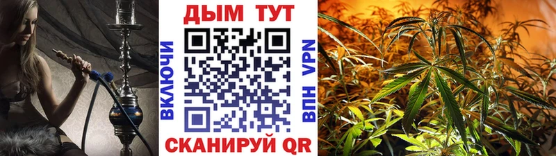 Каннабис AK-47  Кадников 